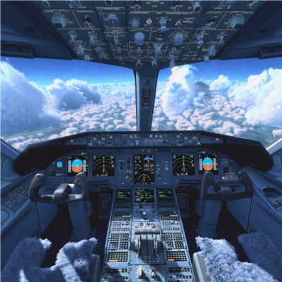 Flight simulator